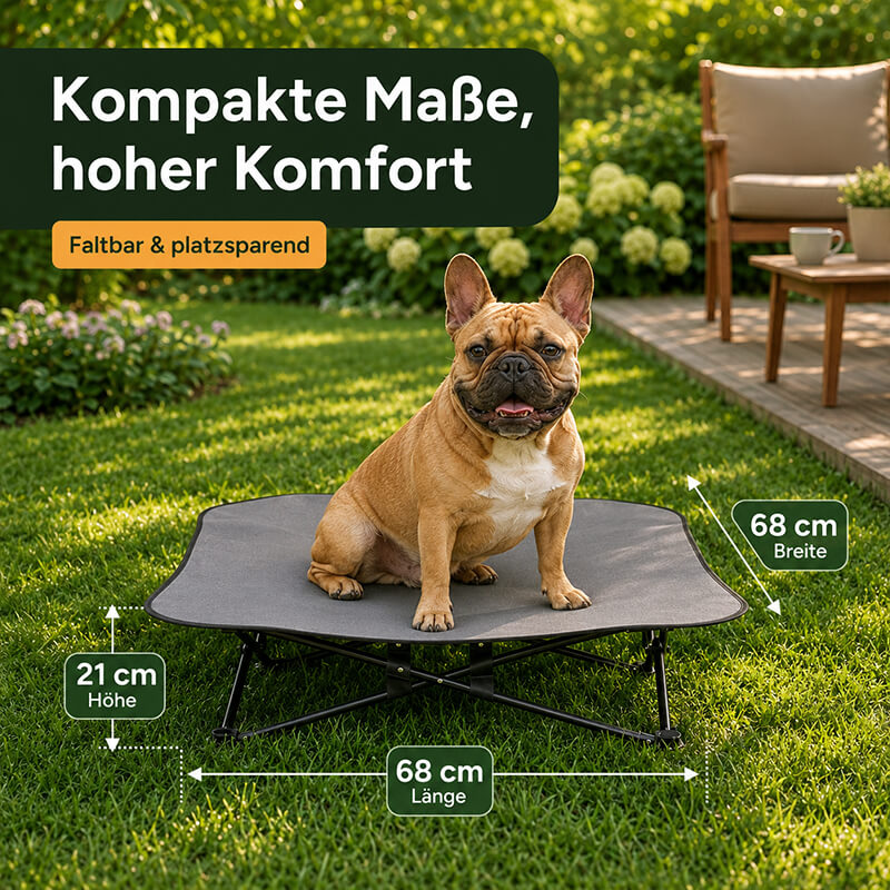 Erhöhtes Hundebett mit 68 × 68 cm Liegefläche und 21 cm Höhe, gezeigt mit Hund als Größenvergleich.