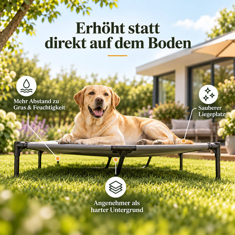 Erhöhtes Hundebett Outdoor mit Labrador im Garten – die Liegefläche hält Abstand zu Gras, Feuchtigkeit und hartem Untergrund.
