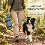 Faltbare Hundematte zusammengerollt in der Hand getragen, Hund läuft auf dem Waldweg voraus