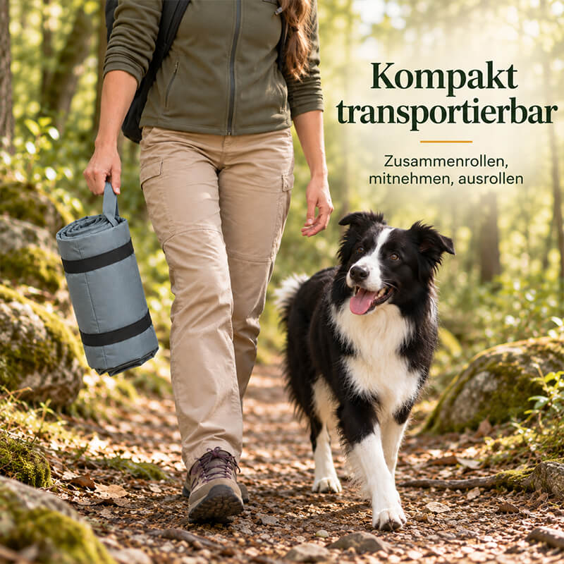 Faltbare Hundematte zusammengerollt in der Hand getragen, Hund läuft auf dem Waldweg voraus