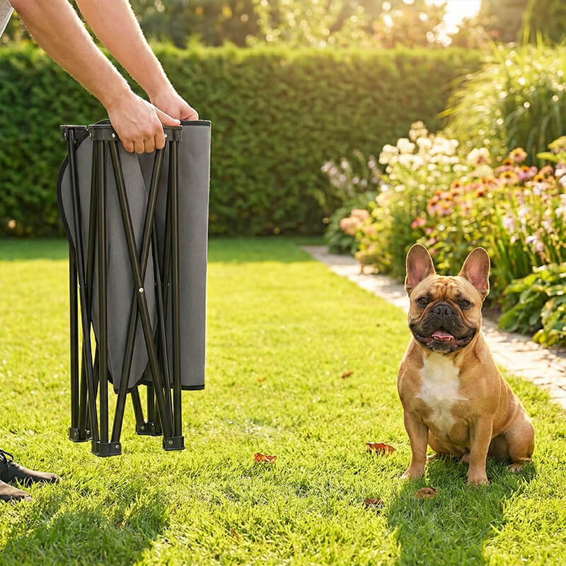 Faltbares Hundebett mit schwarzem Metallgestell, kompakt zusammengeklappt für Garten, Camping und unterwegs.