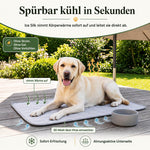 Infografik zur Funktionsweise einer selbstkühlenden Hundematte auf einer Terrasse. Ein heller Labrador liegt entspannt auf der grauen Matte. Grüne und orangene Pfeile veranschaulichen, wie das Ice Silk Material die Körperwärme des Hundes aufnimmt und das 3D-Mesh auf der Unterseite die Hitze entweichen lässt. Textboxen heben die Hauptargumente hervor: 'Spürbar kühl in Sekunden', 'Ohne Strom. Ohne Gel. Ohne Vorkühlen.' sowie 'Sofort-Erfrischung' und 'Atmungsaktive Unterseite'.
