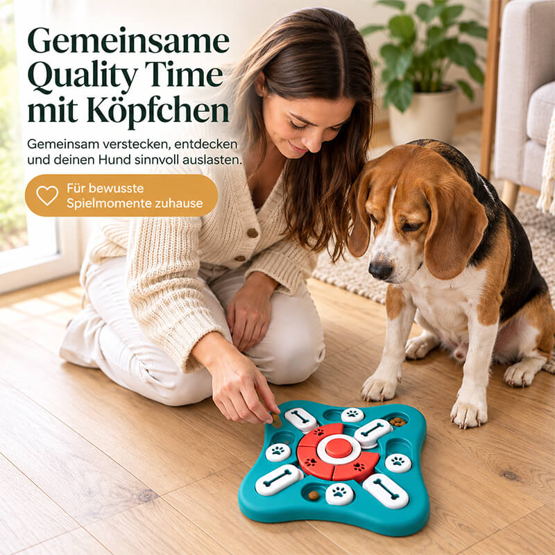Frau versteckt Leckerlis im türkisen Futterspielzeug, ein Beagle schaut aufmerksam zu