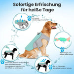 Schaubild zeigt die Wirkungsweise der Kühlweste für Hunde