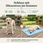 Eine Vorher-Nachher-Grafik zum Thema Hitzestress im Sommer. Links steht ein hechelnder Labrador bei Sommerhitze auf einer Holzterrasse. Rechts liegt derselbe Hund spürbar entspannt auf einer blauen, selbstkühlenden Kühlmatte. Icons im Bild versprechen weniger Hecheln und einen kühleren Liegeplatz. Ein Text am unteren Rand betont, dass die Matte ganz ohne Strom, Gel oder Kühlschrank funktioniert.