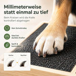 Hund feilt seine Krallen auf einem Kratzbrett – kontrollierte Krallenpflege zum schrittweisen Kürzen auch bei dunklen Hundekrallen.