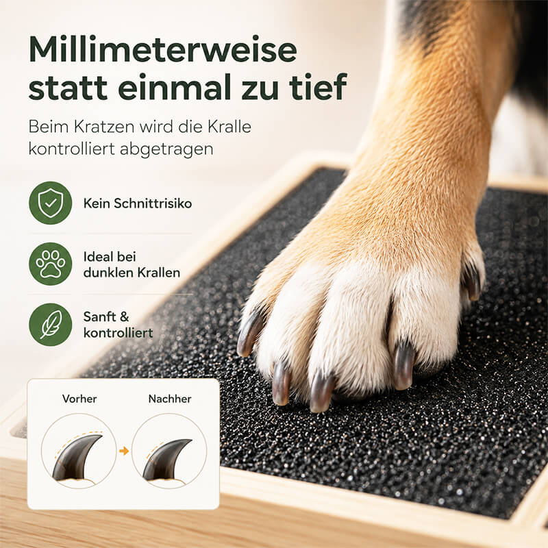Hund feilt seine Krallen auf einem Kratzbrett – kontrollierte Krallenpflege zum schrittweisen Kürzen auch bei dunklen Hundekrallen.