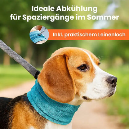 Kühlhalsband für Hunde – Erfrischung an heißen Tagen