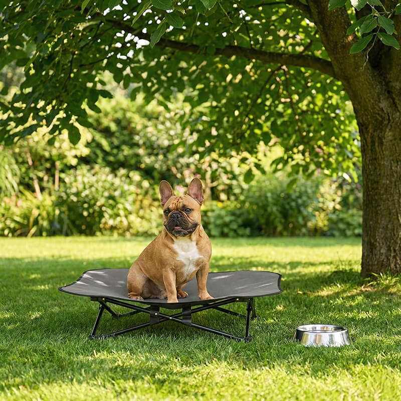 Faltbare Outdoor Hundeliege „Rover“ – Erhöhtes Hundebett für Garten & Camping