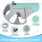 Ideale Kühlweste für Hunde zum Spaziergang im Sommer