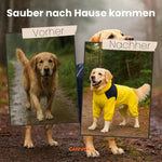 Hunderegenmantel wasserdicht – leicht anziehbarer Regenmantel für Hunde mit Klettverschluss