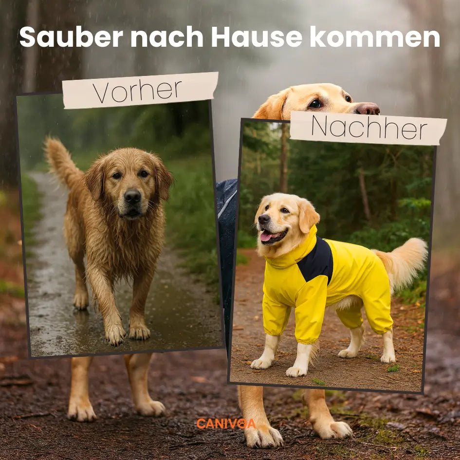 Hunderegenmantel wasserdicht – leicht anziehbarer Regenmantel für Hunde mit Klettverschluss