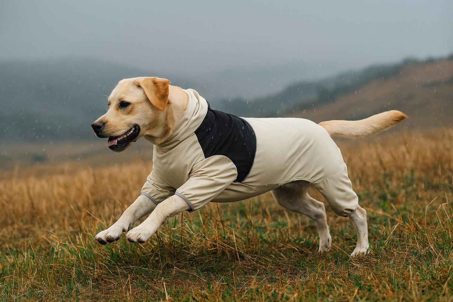 Regenmantel Hund mit Kapuze – wasserdichter Hunderegenmantel, verstellbar & reflektierend für Sicherheit