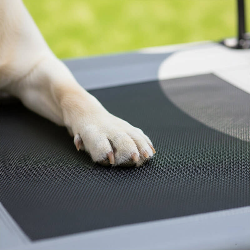 Nahaufnahme der Pfote eines Labradors auf dem atmungsaktiven Mesh-Gewebe einer erhöhten Outdoor Hundeliege. Das Bild verdeutlicht die engmaschige, robuste Struktur des schwarzen Textilene-Stoffs, der für Kühlung sorgt.