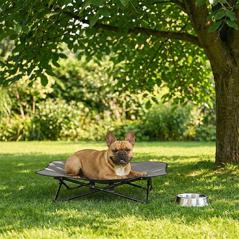 Outdoor Hundebett erhöht & faltbar – Tiefe Entspannung für deinen Hund – Canivoa