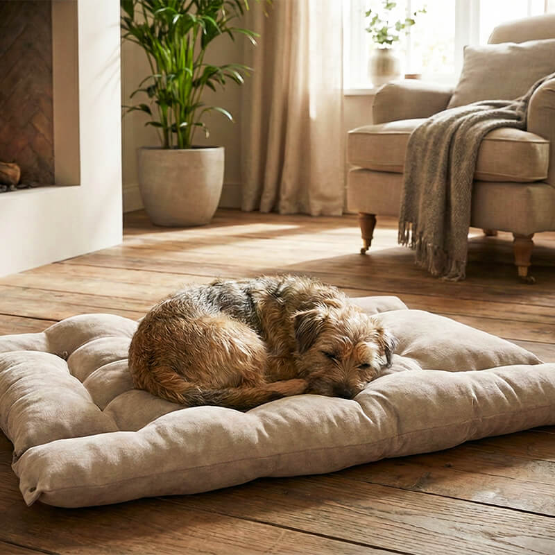 3-in-1 Hundekissen Kano - Das wandelbare Hundebett mit 3 Liegemöglichkeiten