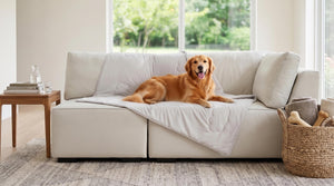 Hundedecken