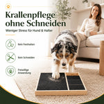 Hund kürzt seine Krallen selbst am Krallenbrett – eine spielerische Möglichkeit zur Krallenpflege ohne Schneiden mit der Schere.