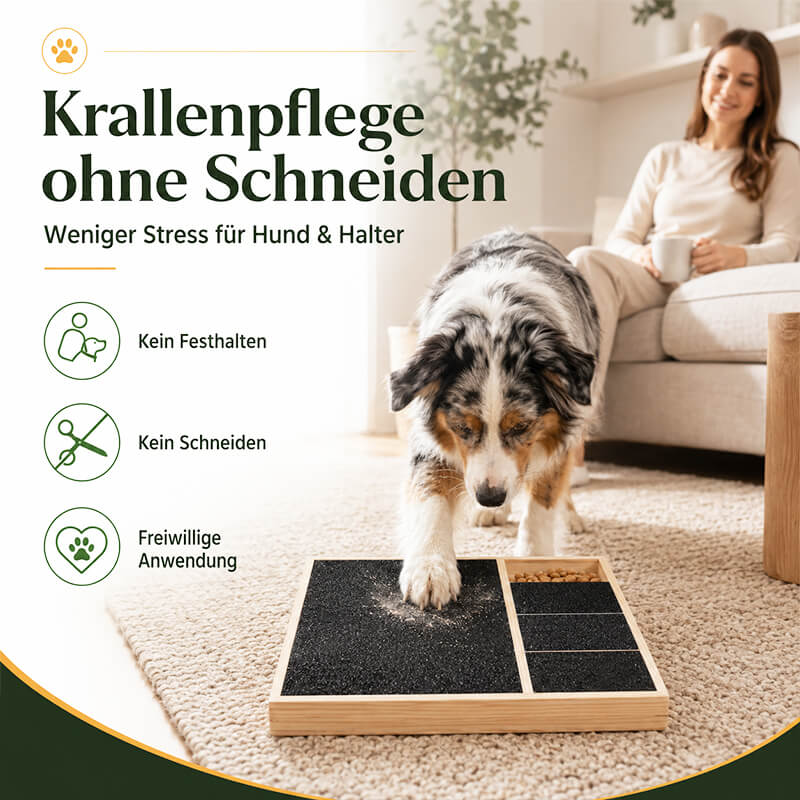 Hund kürzt seine Krallen selbst am Krallenbrett – eine spielerische Möglichkeit zur Krallenpflege ohne Schneiden mit der Schere.