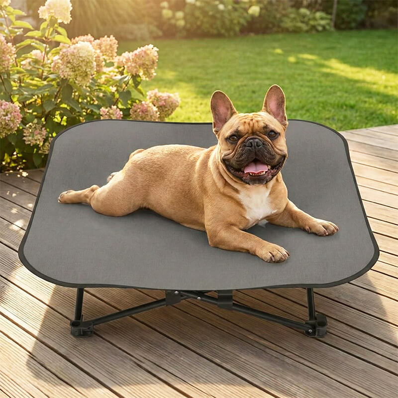 Outdoor Hundebett erhöht & faltbar – Tiefe Entspannung für deinen Hund –  Canivoa
