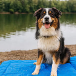 Hundedecke outdoor wasserdicht – robuste, schmutzabweisende Oberfläche der Hundematte