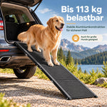 Großer Hund steht auf der Alu-Hunderampe am Kofferraum, belastbar bis 113 kg