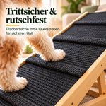 Nahaufnahme: Hundepfoten auf dem rutschfesten Filzbelag der Hunderampe, Querstreben geben sicheren Halt