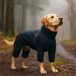 Outdoor Hunde Regenjacke – wasserdichter Regenmantel für den Hund, schützt bei Spaziergang & Training