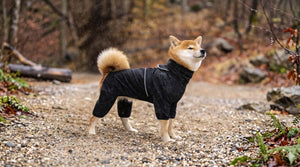 Hunde Regenmäntel