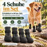 Vier PawGuard Hundeschuhe im Set auf einem Felsen, erhältlich in den Größen M bis 3XL