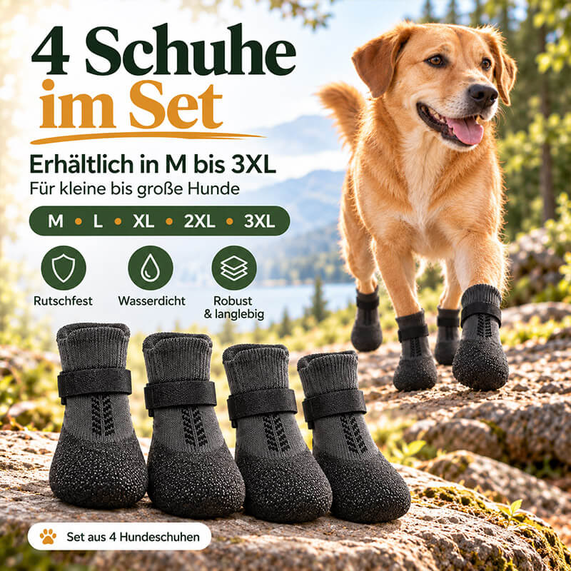 Vier PawGuard Hundeschuhe im Set auf einem Felsen, erhältlich in den Größen M bis 3XL