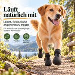 Hund läuft mit leichten PawGuard Hundeschuhen entspannt auf einem Wanderweg am See