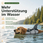 Golden Retriever mit Hundeschwimmweste beim Schwimmen im See.
