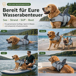 Hundeschwimmweste für gemeinsame Wasserabenteuer am See, Strand, auf dem SUP und im Boot.