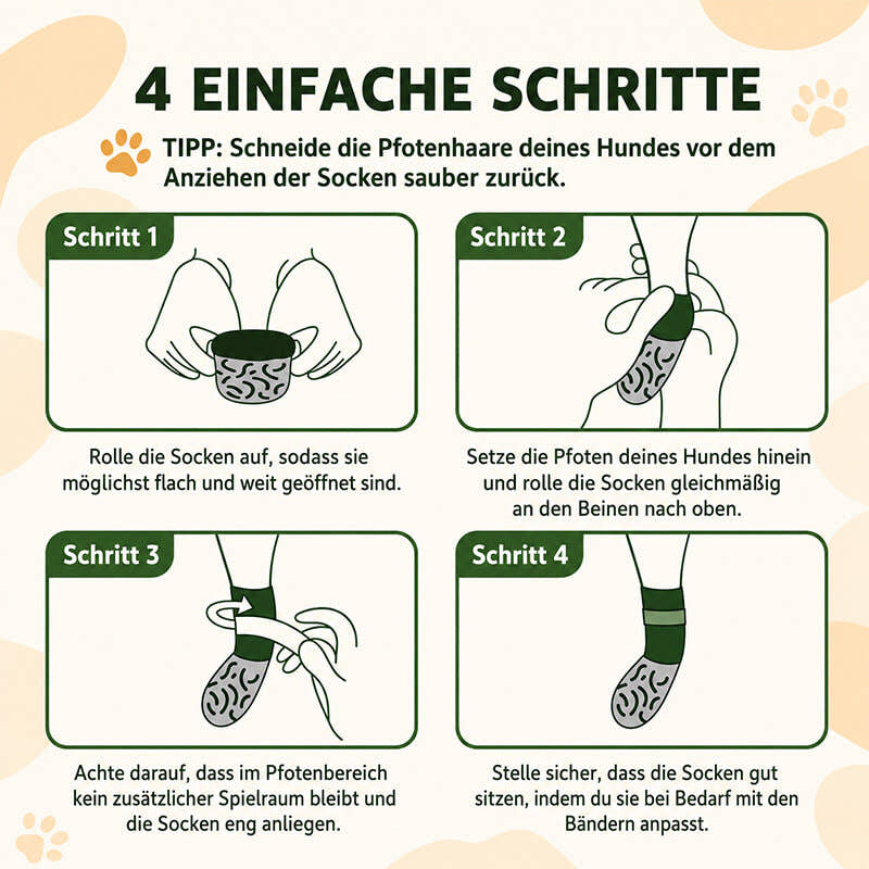 Anleitung in vier Schritten: Hundesocken aufrollen, über die Pfote ziehen, eng anliegen lassen und mit dem Klettverschluss fixieren.