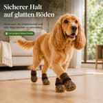 Cocker Spaniel läuft mit rutschfesten Hundesocken sicher über Parkett – mehr Halt auf glatten Böden.