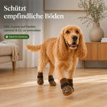 Hund mit Anti-Rutsch-Socken auf Parkett – die Socken helfen, Kratzer durch Krallen auf Parkett und Laminat zu vermeiden.