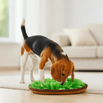 Canivoa - Hunde Schnüffelteppich - canivoa.de