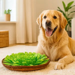 Canivoa - Hunde Schnüffelteppich - canivoa.de