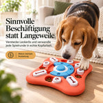 Beagle sucht Leckerlis im roten Intelligenzspielzeug auf dem Wohnzimmerboden