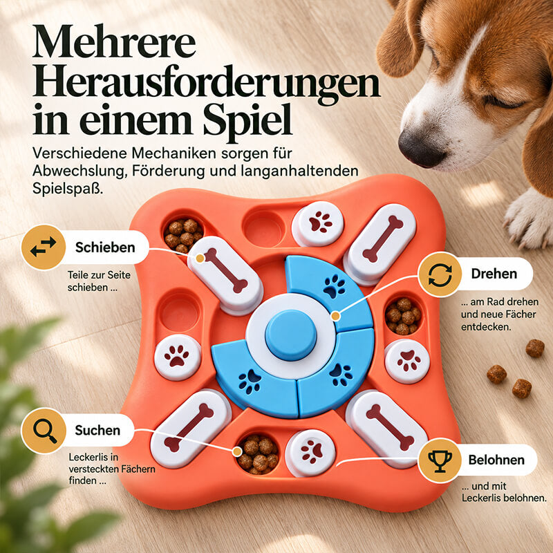 Interaktives Hundespielzeug mit Schiebern und Drehrad, ein Hund schaut auf die versteckten Leckerlis