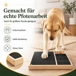 Großer Hund nutzt ein Krallenschleifbrett zum selbstständigen Kürzen der Krallen auf einer stabilen Kratzfläche.
