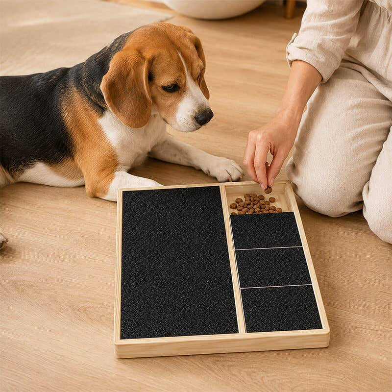 Beagle vor einem Kratzbrett für Hunde mit Leckerli-Fach – Belohnung motiviert zum Kratzen und unterstützt die regelmäßige Krallenpflege.