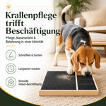 Hund nutzt eine Kratzmatte mit Leckerli-Fach – spielerische Beschäftigung kombiniert mit selbstständiger Krallenpflege.
