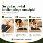 Anwendung des Kratzpads für Hunde: Leckerli einlegen, Interesse wecken und den Hund seine Krallen spielerisch feilen lassen.