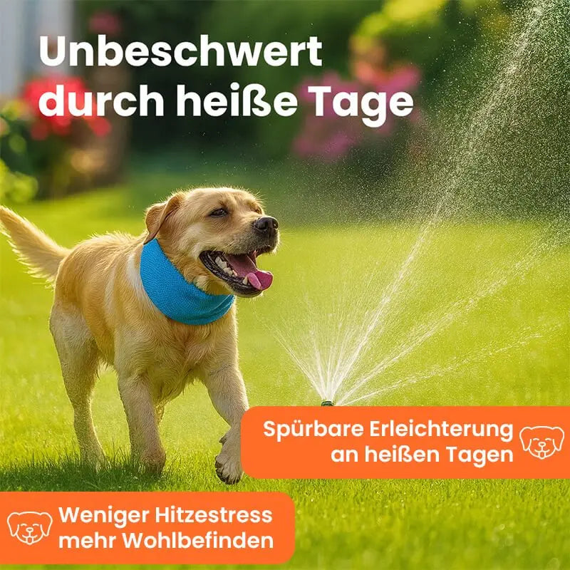 Kühlhalsband für Hunde – Erfrischung an heißen Tagen