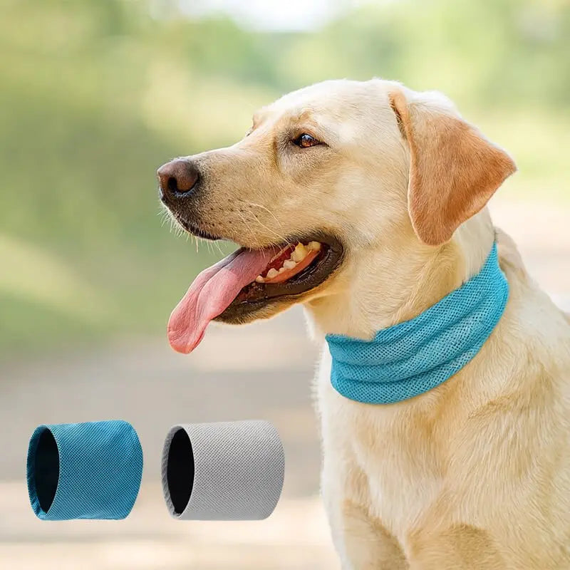 Kühlhalsband für Hunde – Erfrischung an heißen Tagen
