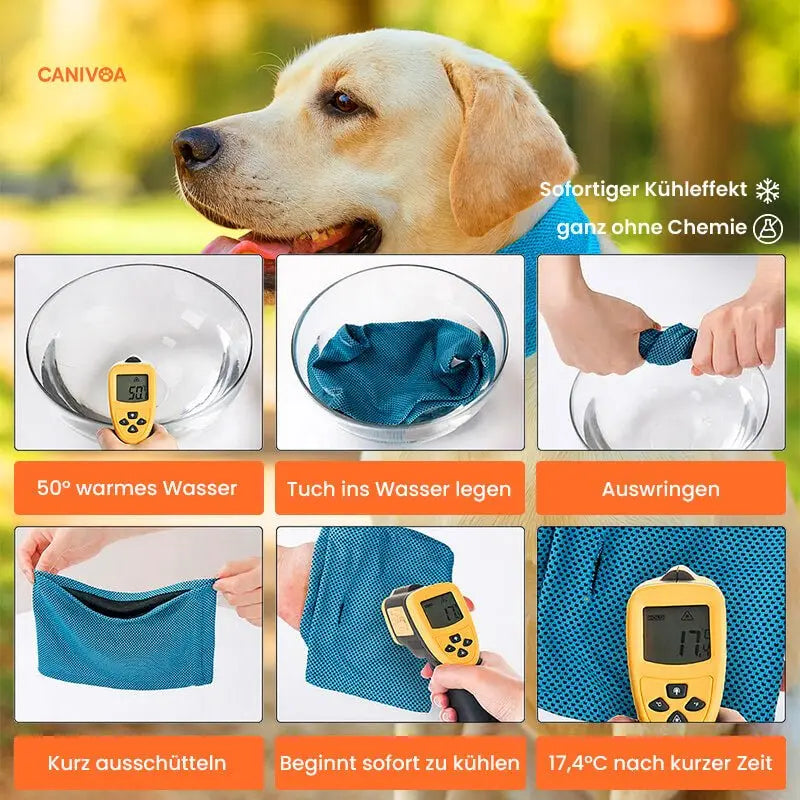 Kühlhalsband für Hunde – Erfrischung an heißen Tagen