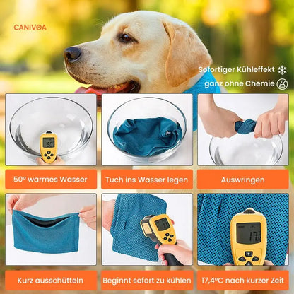Kühlhalsband für Hunde – Erfrischung an heißen Tagen