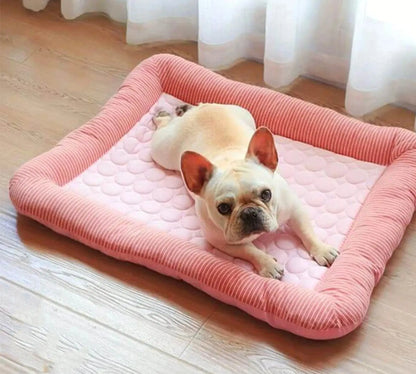 Stylisches Kühlbett für Hunde – moderne kühlende Hundematte, ideal für Wohnung & Terrasse